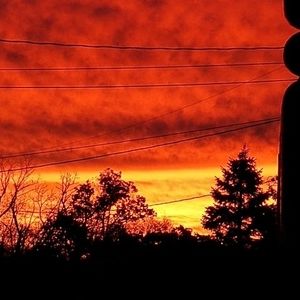 Meet your Posher, Bonnie renee